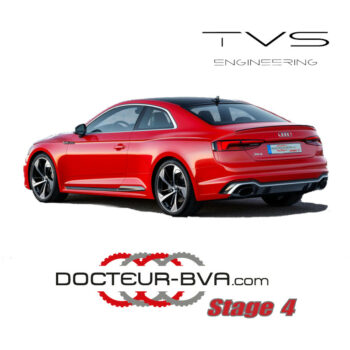 STAGE IV MAX 1000NM - DL501 EMBRAYAGE RACE