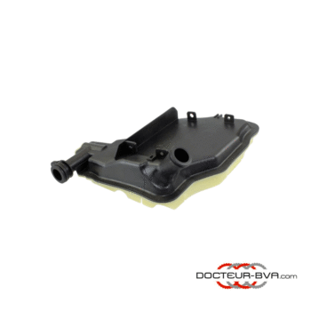 Crépine Interne DSG7/DQ381